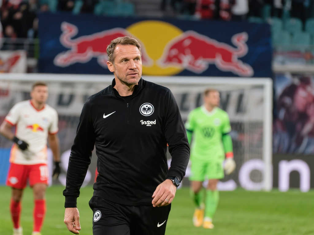 的关键所在 的关键所在